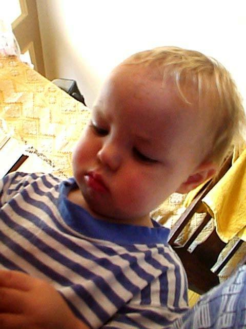 album022.jpg 
480 x 640 JPEG-compressed image 
(54,607 bytes)