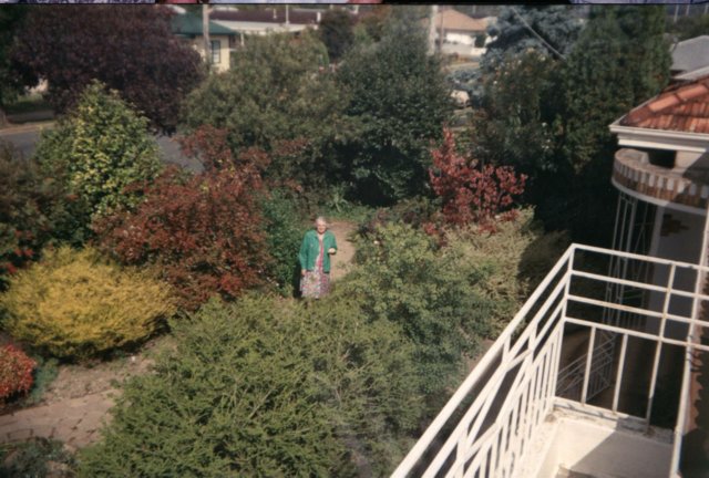 album099.jpg 
640 x 432 JPEG-compressed image 
(74,605 bytes)