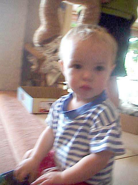 album144.jpg 
480 x 640 JPEG-compressed image 
(45,416 bytes)