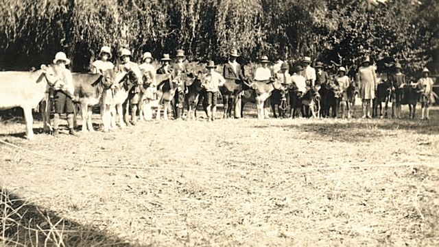 album190.jpg 
640 x 361 JPEG-compressed image 
(78,474 bytes)