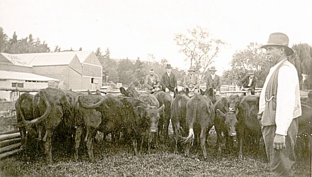album194.jpg 
640 x 363 JPEG-compressed image 
(53,784 bytes)