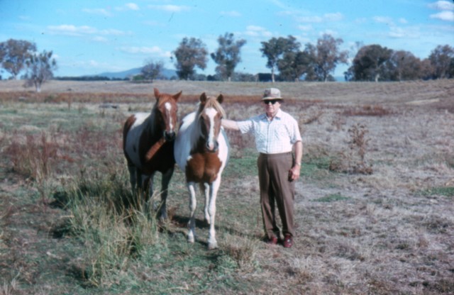 album300.jpg 
640 x 416 JPEG-compressed image 
(72,961 bytes)