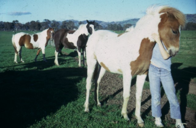 album301.jpg 
640 x 418 JPEG-compressed image 
(59,728 bytes)