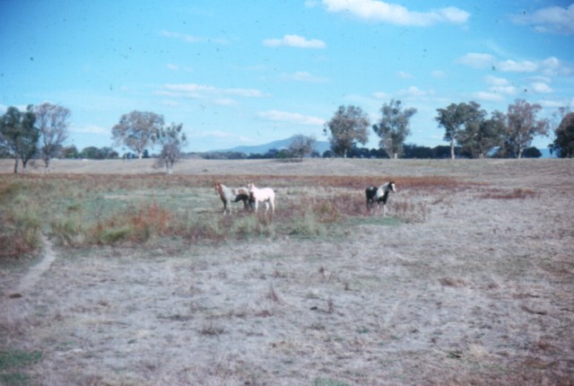album302.jpg 
640 x 430 JPEG-compressed image 
(64,574 bytes)