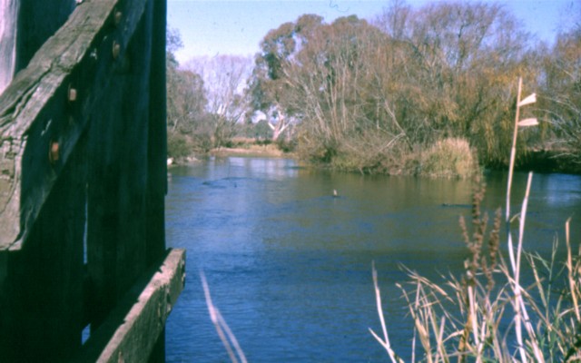 album315.jpg 
640 x 400 JPEG-compressed image 
(64,997 bytes)
