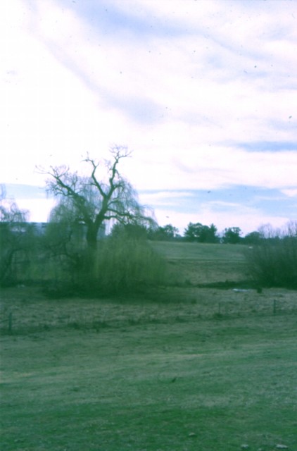 album333.jpg 
422 x 640 JPEG-compressed image 
(43,500 bytes)