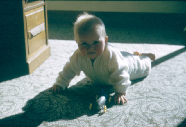 album348.jpg 
640 x 437 JPEG-compressed image 
(55,687 bytes)