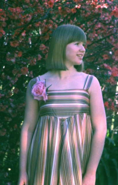 album356.jpg 
410 x 640 JPEG-compressed image 
(68,300 bytes)