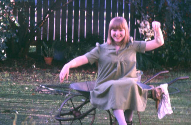 album362.jpg 
640 x 419 JPEG-compressed image 
(69,822 bytes)