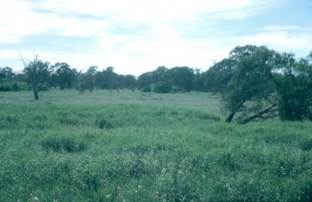 album376.jpg 
640 x 415 JPEG-compressed image 
(60,682 bytes)