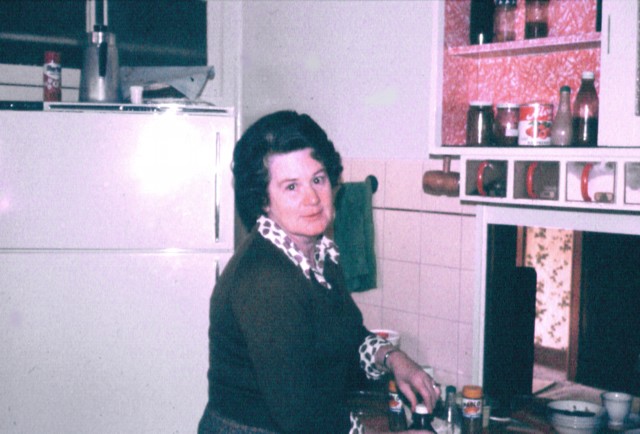 album380.jpg 
640 x 434 JPEG-compressed image 
(66,679 bytes)