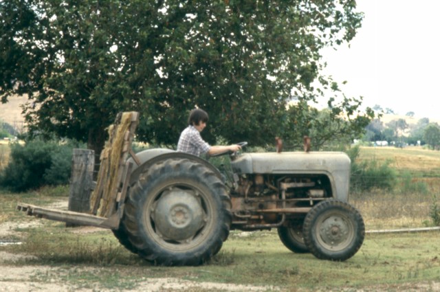 album418.jpg 
640 x 425 JPEG-compressed image 
(86,590 bytes)