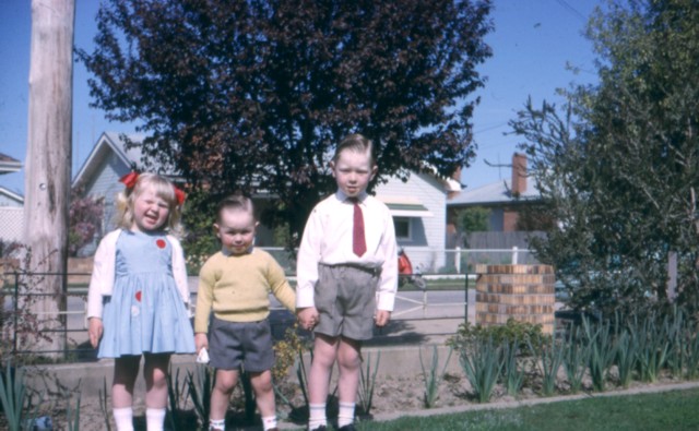 album461.jpg 
640 x 395 JPEG-compressed image 
(81,138 bytes)
