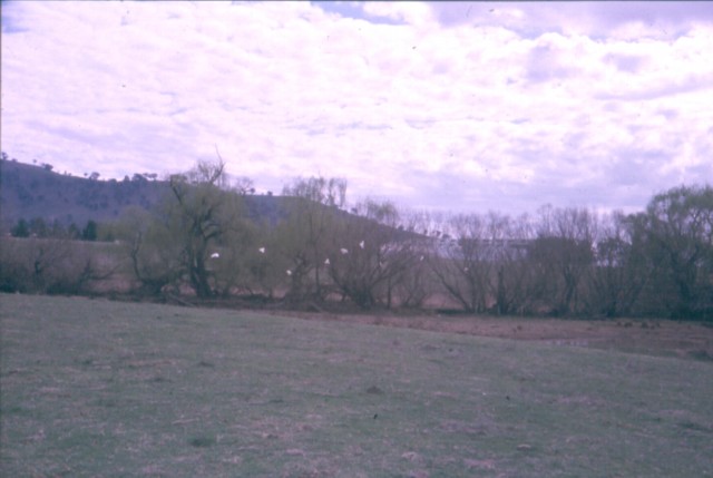 album484.jpg 
640 x 429 JPEG-compressed image 
(49,532 bytes)