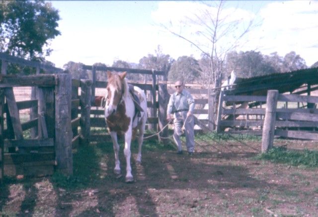 album562.jpg 
640 x 438 JPEG-compressed image 
(71,275 bytes)