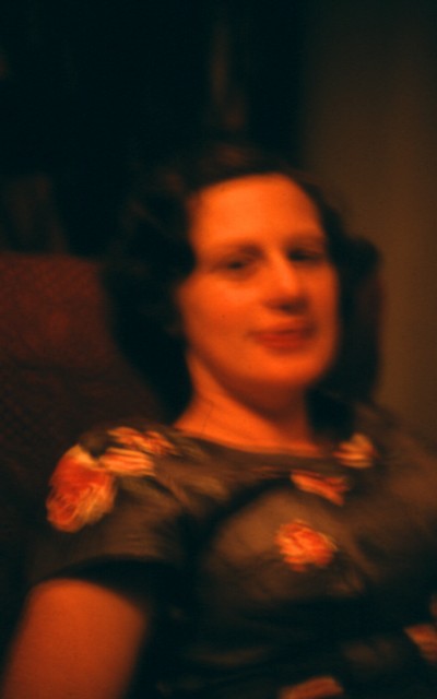album564.jpg 
400 x 640 JPEG-compressed image 
(30,150 bytes)