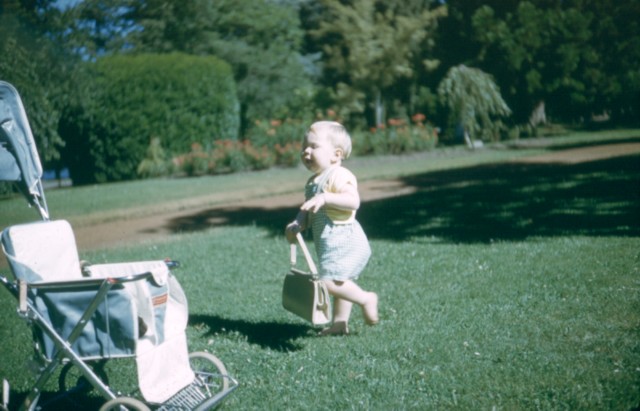 album624.jpg 
640 x 411 JPEG-compressed image 
(67,072 bytes)