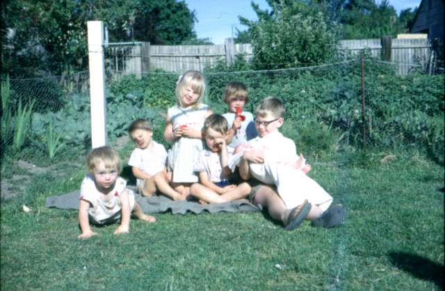 album633.jpg 
640 x 419 JPEG-compressed image 
(95,767 bytes)