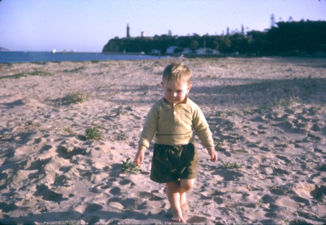 album638.jpg 
640 x 441 JPEG-compressed image 
(80,304 bytes)