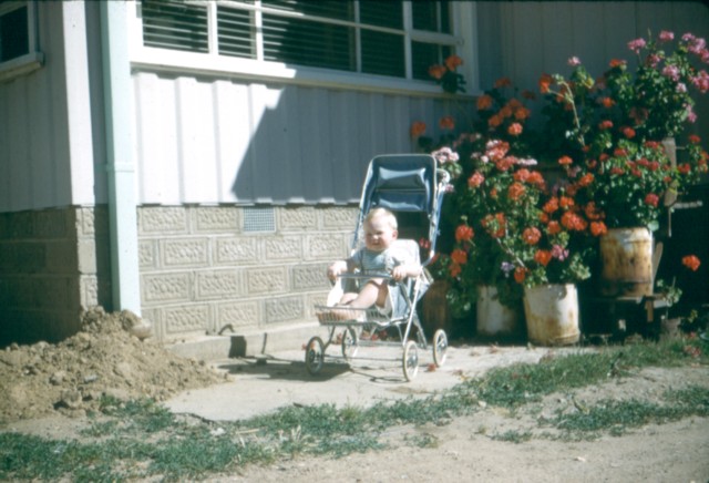 album661.jpg 
640 x 436 JPEG-compressed image 
(76,495 bytes)