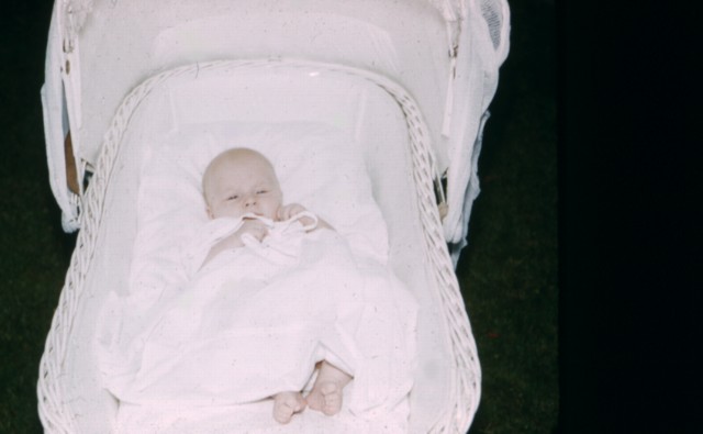 album664.jpg 
640 x 395 JPEG-compressed image 
(33,530 bytes)