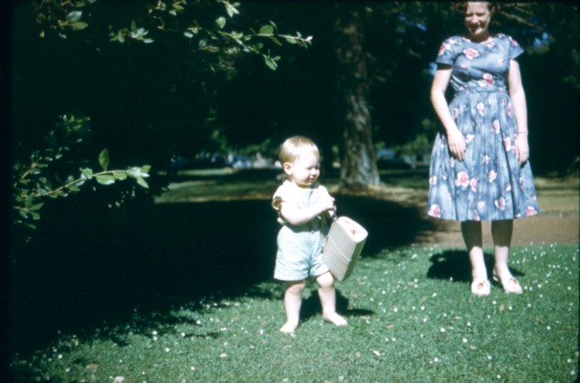 album669.jpg 
640 x 423 JPEG-compressed image 
(67,758 bytes)