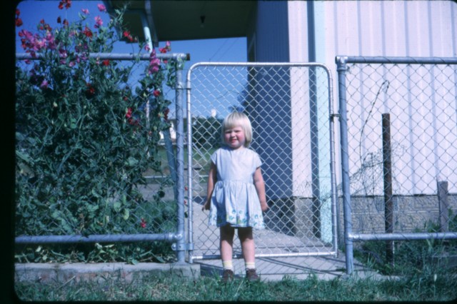 album705.jpg 
640 x 426 JPEG-compressed image 
(94,390 bytes)