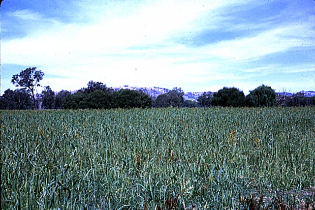 album725.jpg 
640 x 427 JPEG-compressed image 
(120,294 bytes)