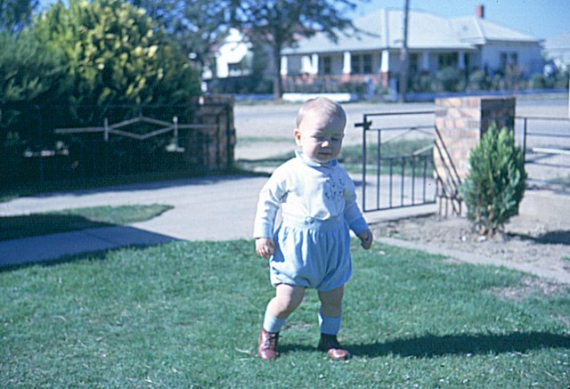 album732.jpg 
640 x 437 JPEG-compressed image 
(85,731 bytes)