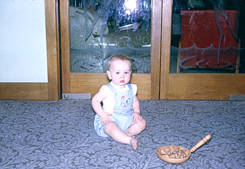 album745.jpg 
500 x 346 JPEG-compressed image 
(62,020 bytes)