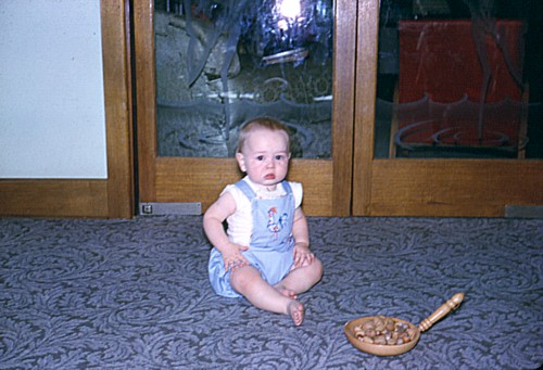 album749.jpg 
500 x 341 JPEG-compressed image 
(56,444 bytes)
