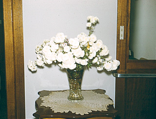 album826.jpg 
640 x 488 JPEG-compressed image 
(84,418 bytes)