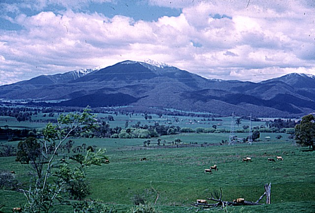 album855.jpg 
640 x 433 JPEG-compressed image 
(102,553 bytes)