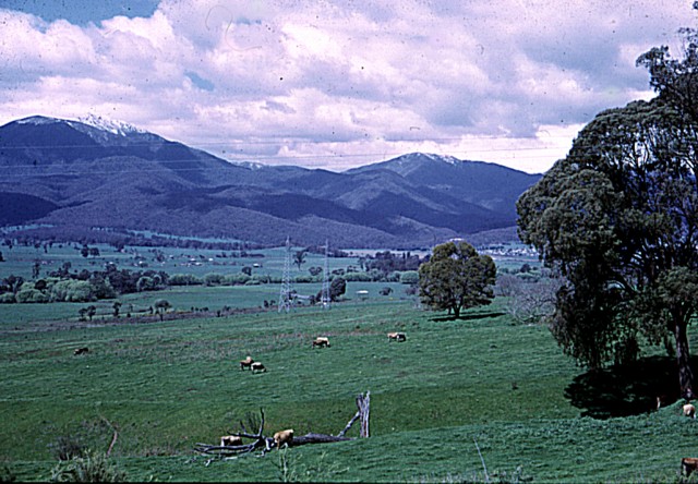 album856.jpg 
640 x 444 JPEG-compressed image 
(107,315 bytes)