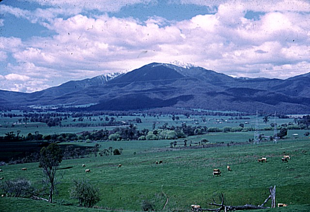 album858.jpg 
640 x 438 JPEG-compressed image 
(96,689 bytes)