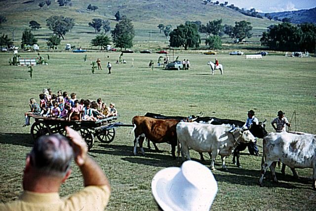 album862.jpg 
640 x 428 JPEG-compressed image 
(120,430 bytes)