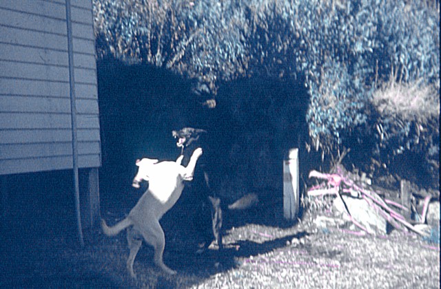 album866.jpg 
640 x 420 JPEG-compressed image 
(100,441 bytes)