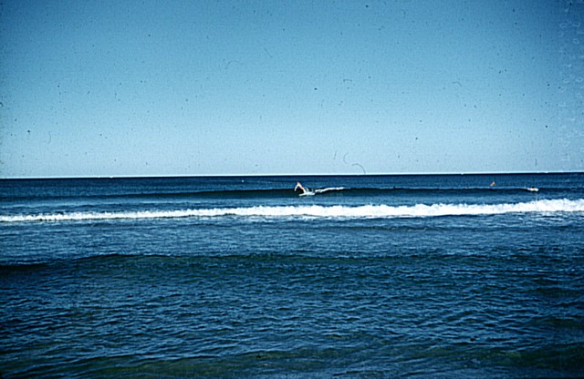 album874.jpg 
640 x 416 JPEG-compressed image 
(81,855 bytes)