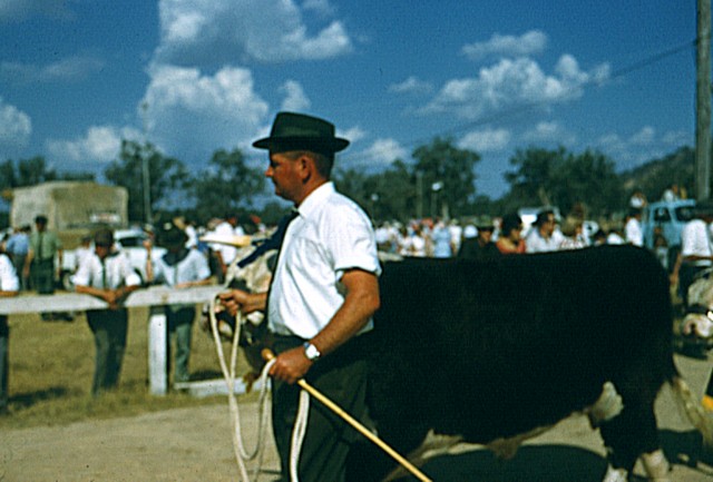 album884.jpg 
640 x 433 JPEG-compressed image 
(72,930 bytes)