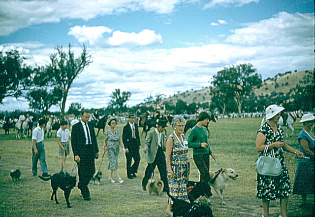 album887.jpg 
640 x 440 JPEG-compressed image 
(109,665 bytes)