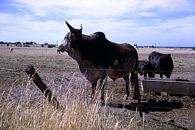 album892.jpg 
640 x 429 JPEG-compressed image 
(109,424 bytes)