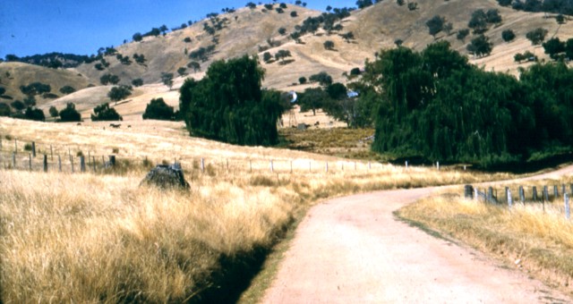 album922.jpg 
640 x 340 JPEG-compressed image 
(72,713 bytes)
