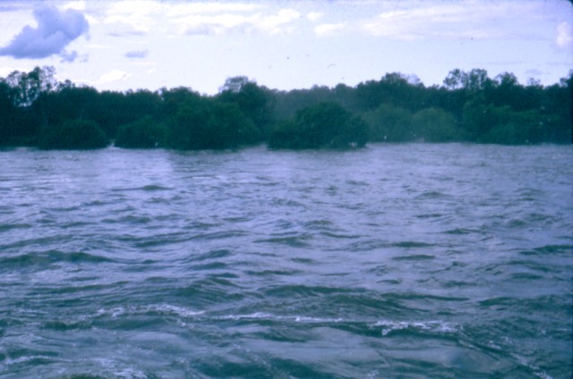 album928.jpg 
640 x 424 JPEG-compressed image 
(61,683 bytes)