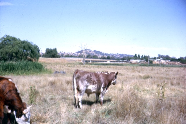 album939.jpg 
640 x 429 JPEG-compressed image 
(66,355 bytes)