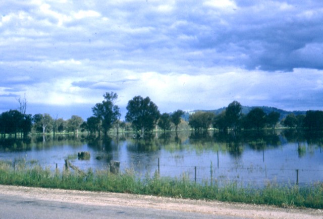 album953.jpg 
640 x 434 JPEG-compressed image 
(63,102 bytes)