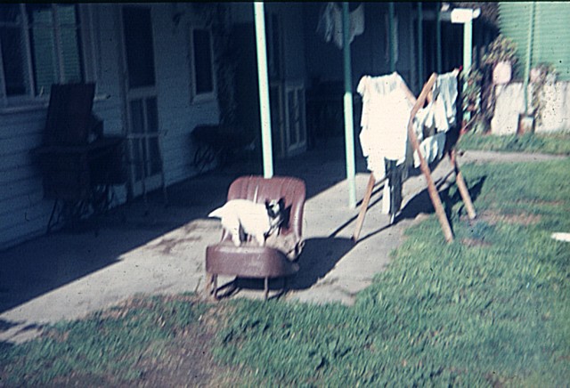 album959.jpg 
640 x 436 JPEG-compressed image 
(84,770 bytes)