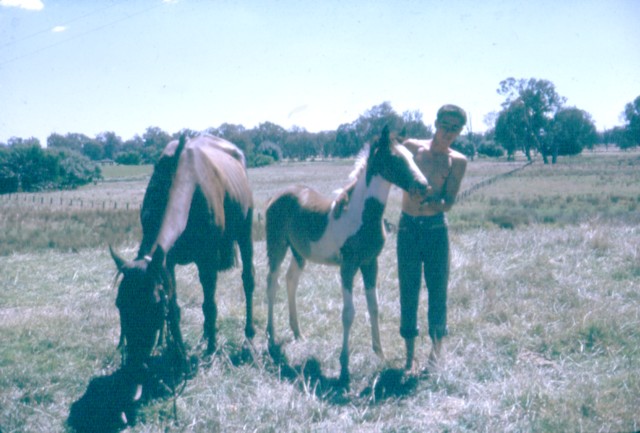 album968.jpg 
640 x 433 JPEG-compressed image 
(71,857 bytes)