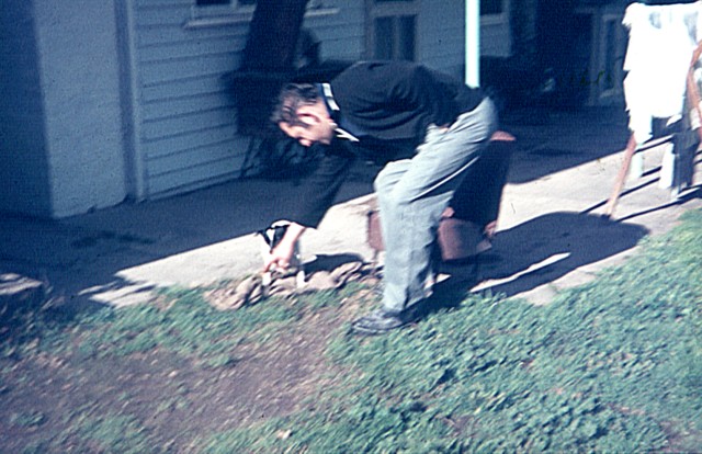 album983.jpg 
640 x 414 JPEG-compressed image 
(92,046 bytes)