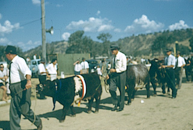 album985.jpg 
640 x 431 JPEG-compressed image 
(75,077 bytes)