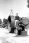 Preview of: 
album164.jpg 
441 x 640 JPEG-compressed image 
(38,187 bytes)